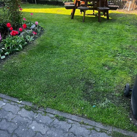 Vakantiehuis 1 With Its Own Yard *